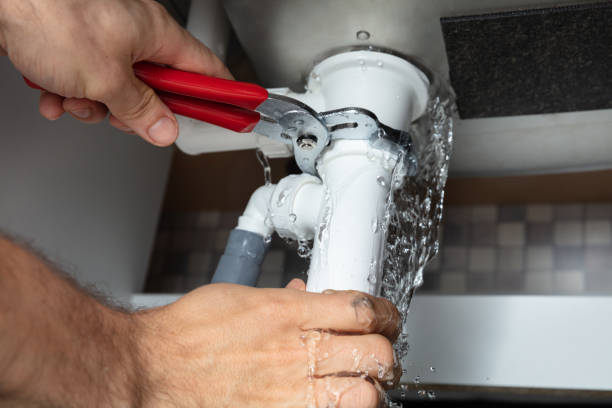Best Fire Damage Restoration  in Gaston, SC