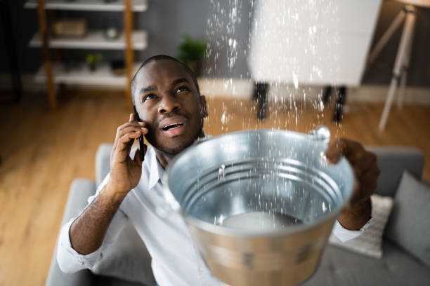 Best Carpet water damage restoration  in Gaston, SC