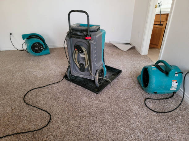 Best 24-hour water damage restoration  in Gaston, SC