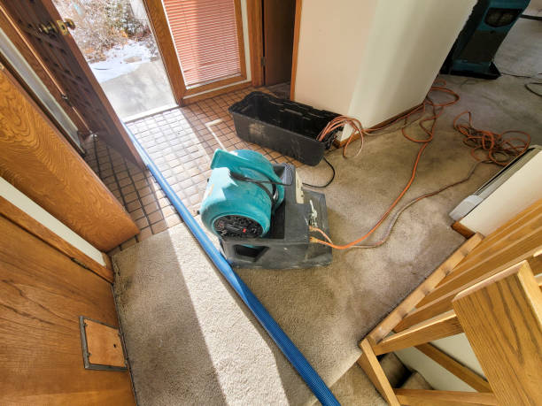 Best Basement water damage restoration  in Gaston, SC