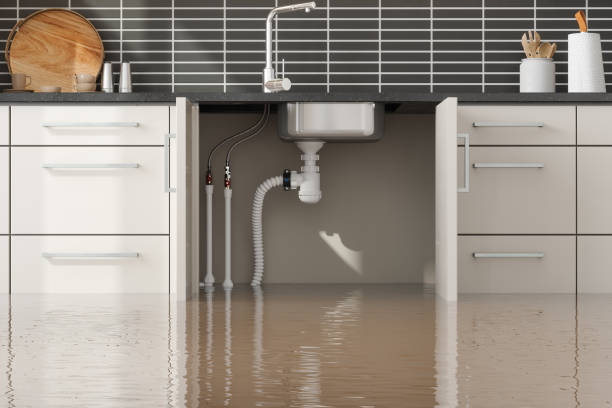 Best Sewage cleanup and water damage restoration  in Gaston, SC