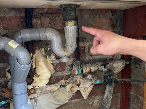 Best Water damage restoration near me  in Gaston, SC